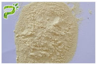 De melkdistel poederde Kruidenuittreksels Silybin CAS 22888 70 6 Verhinderende Leverwanorde
